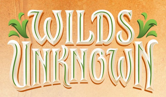Disney Lorcana Wilds Unknown