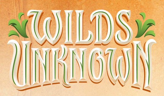 Disney Lorcana Wilds Unknown